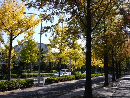 f0232136_11442730.jpg