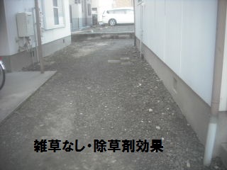 定期管理・清掃作業_f0031037_2018209.jpg