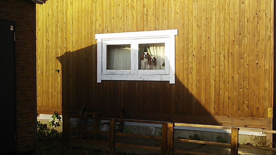 e0145441_722364.jpg