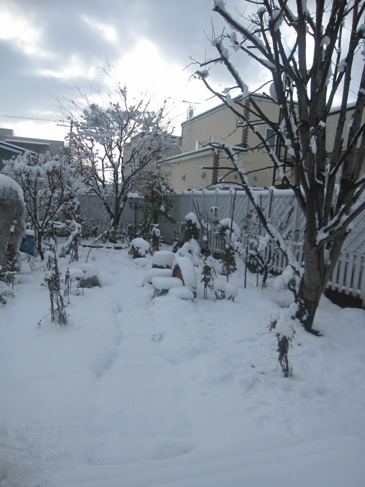 初雪が根雪？　一人なので久々のデイトレ_a0279743_15574694.jpg