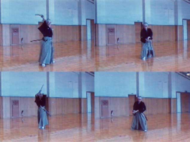 内容 : 国際水月塾武術協会 International Suigetsujuku Bujutsu