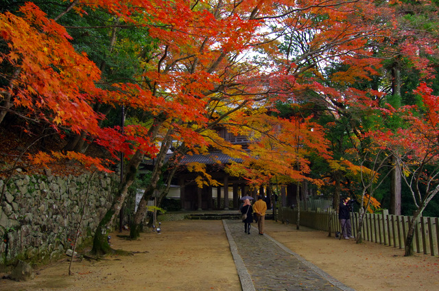 雨上がりの永源寺山門：滋賀八日市_d0186245_14332262.jpg