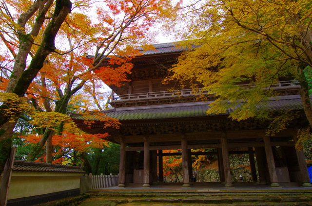 雨上がりの永源寺山門：滋賀八日市_d0186245_14341777.jpg