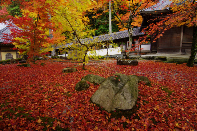 雨上がりの永源寺山門：滋賀八日市_d0186245_14371093.jpg