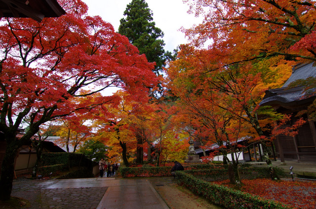 雨上がりの永源寺山門：滋賀八日市_d0186245_1437368.jpg