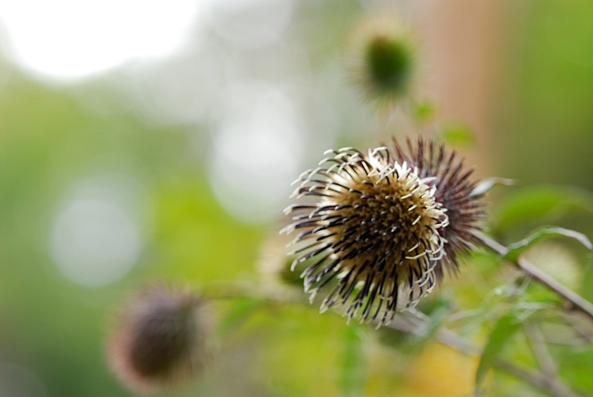 f0224648_14401510.jpg