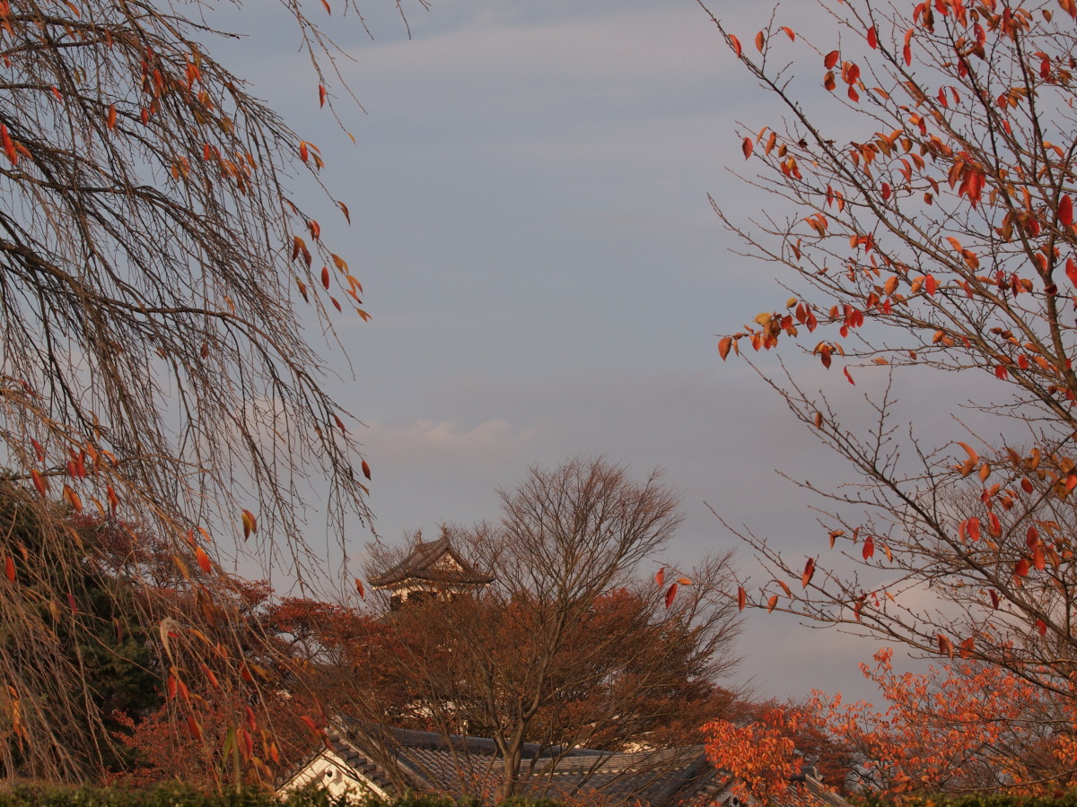 福島県・白河 紅葉 初撮り-3　　　153)_c0068050_1123281.jpg