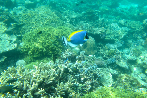 f0190653_11626.jpg