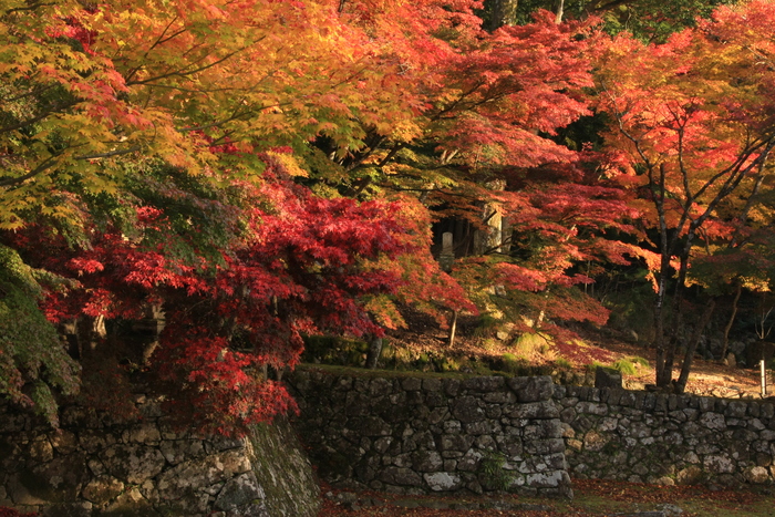 東光寺　（湖東）　　_e0041157_20521431.jpg