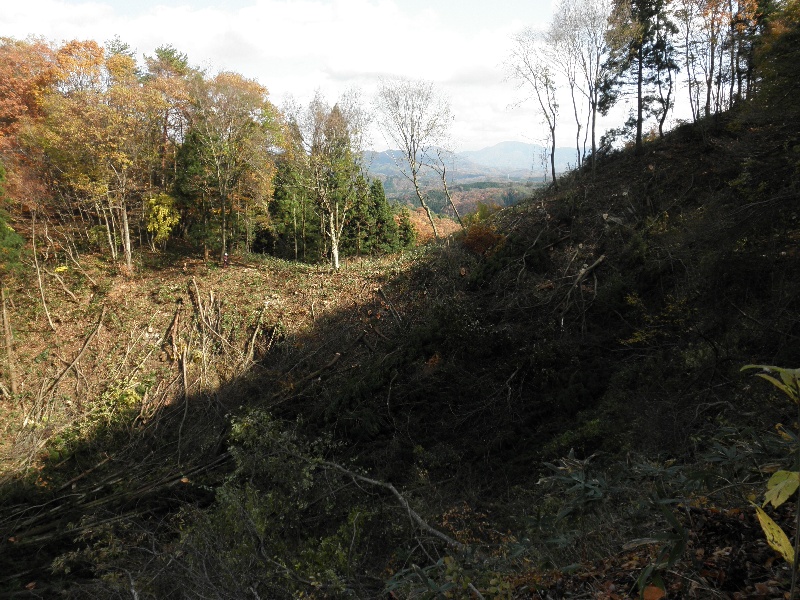 c0016259_21234291.jpg