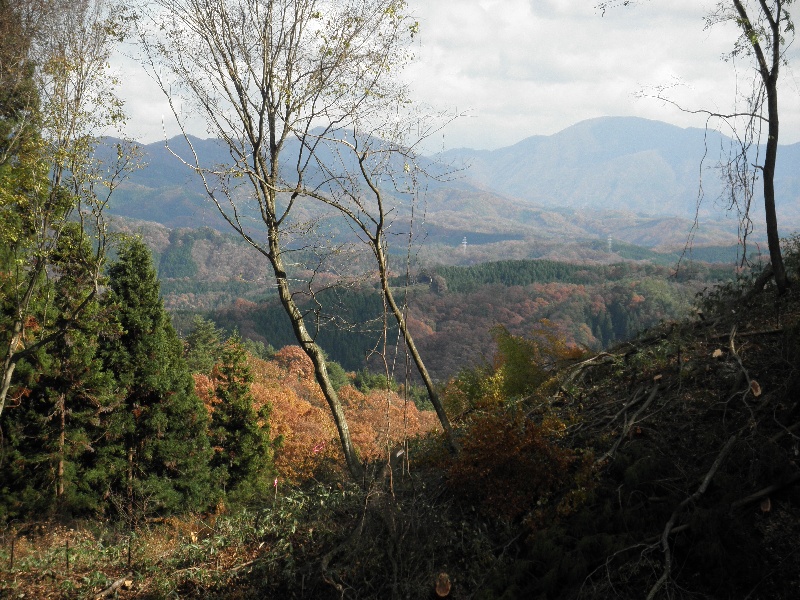 c0016259_21284665.jpg