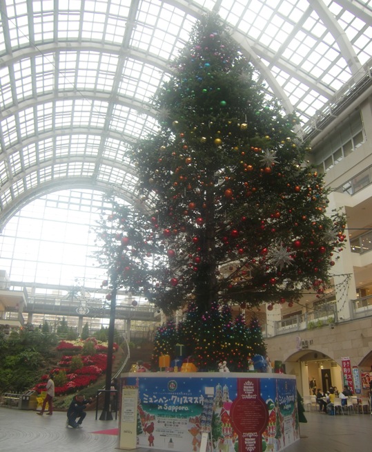 b0236665_17495121.jpg