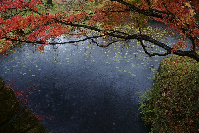 b0198768_162045.jpg