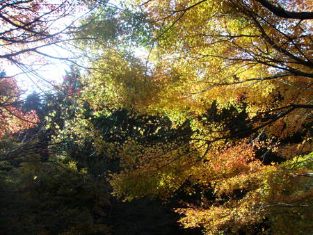 c0228378_12373452.jpg