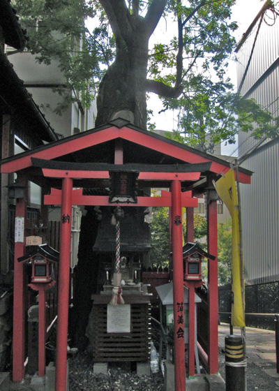 a0045381_8521100.jpg