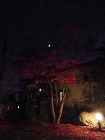 e0184683_20154086.jpg