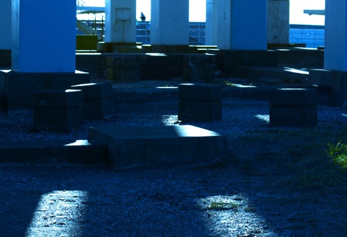 d0164185_21332425.jpg