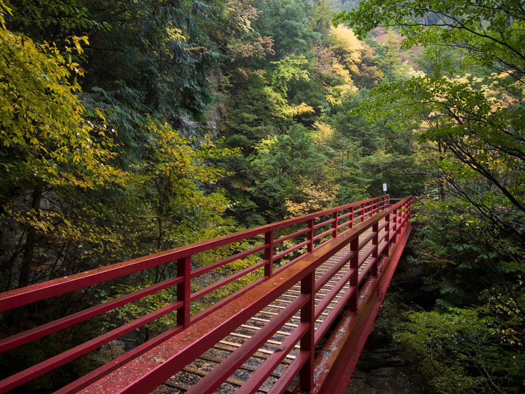 白倉峡 明神峡 天竜スーパー林道 紅葉 12 11 18 Hama Take の Blog 白倉峡 明神峡 天竜スーパー林道 紅葉 12 11 18 Hama Take の Blog
