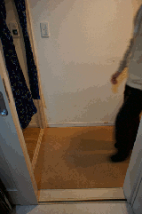 c0259887_10133998.gif