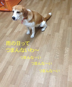 c0259887_1013489.jpg
