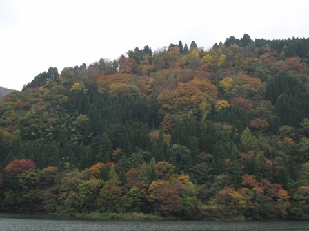 秋の北陸路⑤世界遺産・五箇山へ_f0146587_1912196.jpg