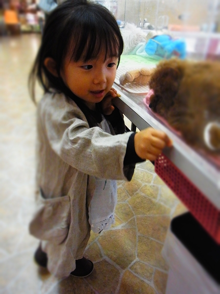 b0205389_22154661.jpg