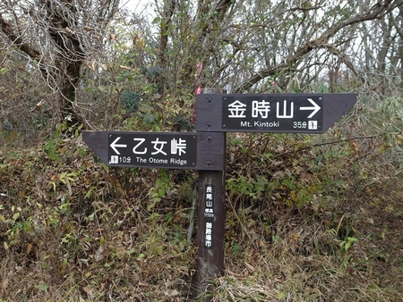 雪の富士山を見に　金時山までドライブ_e0271890_16515540.jpg