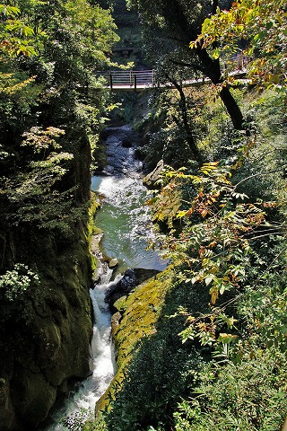 e0176993_7391359.jpg