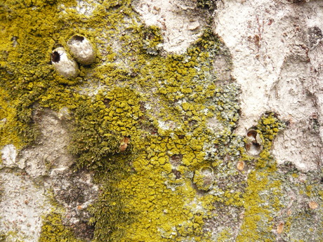 a0188795_14534049.jpg