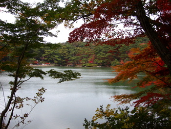 a0256995_17502777.jpg