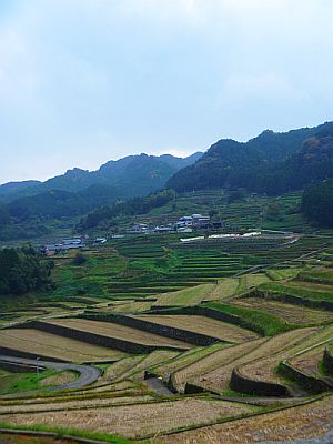 e0198197_1785644.jpg