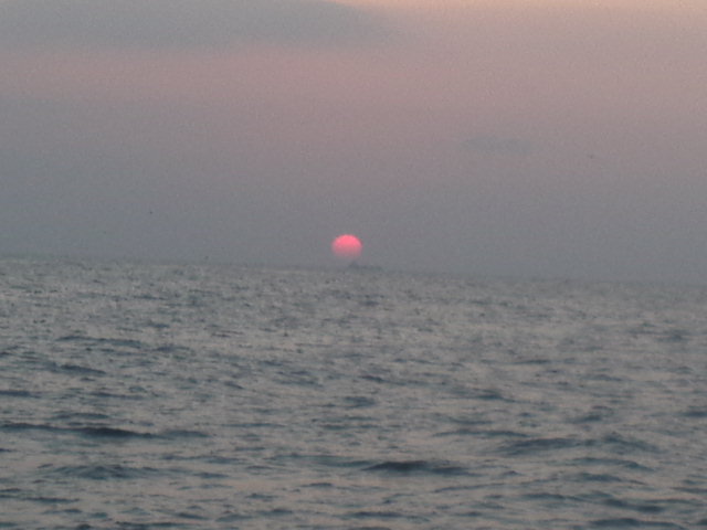 d0224204_1763872.jpg