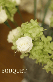 b0111306_9484345.gif
