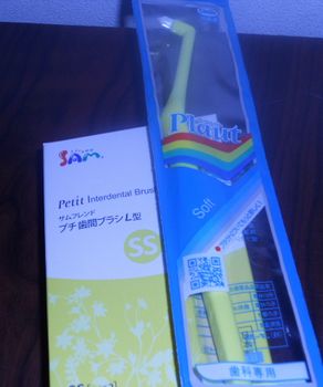 歯のチェック_f0218407_1743071.jpg