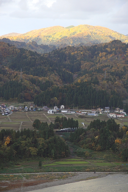 紅く燃える山、翳る川　- 2012年晩秋・上越線 -  _b0190710_23114982.jpg