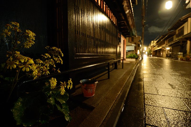 都ライト・2012 其の一_f0032011_1954467.jpg