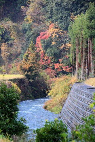 紅葉だより27 龍澤寺(りょうたくじ)_e0048413_21103017.jpg