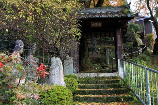 紅葉だより27 龍澤寺(りょうたくじ)_e0048413_2184744.jpg