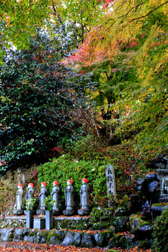 紅葉だより27 龍澤寺(りょうたくじ)_e0048413_2191917.jpg