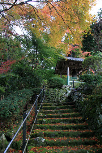 紅葉だより27 龍澤寺(りょうたくじ)_e0048413_219671.jpg