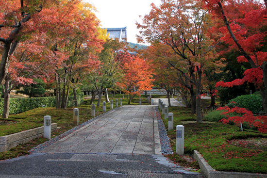 紅葉だより30 智積院(ちしゃくいん)_e0048413_22122856.jpg