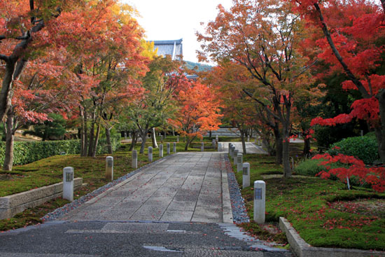 紅葉だより30　智積院（ちしゃくいん）_e0048413_22122856.jpg