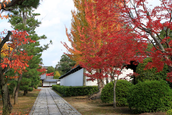 紅葉だより30 智積院(ちしゃくいん)_e0048413_22124312.jpg