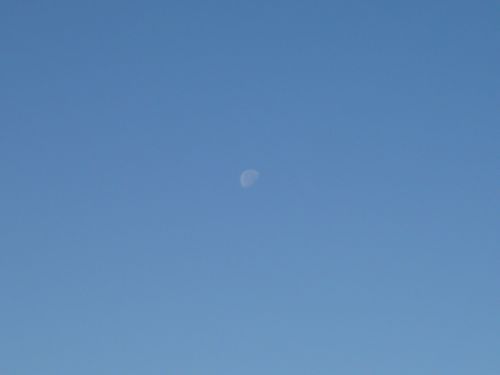 c0188814_104810.jpg