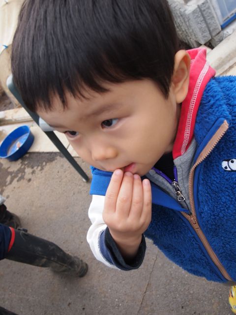 a0151615_22181212.jpg