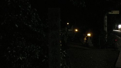 a0260019_15305.jpg