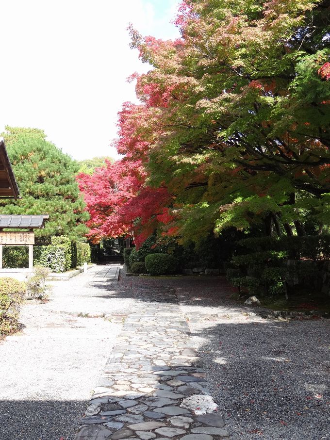 天龍寺　弘源寺_f0004019_2313623.jpg