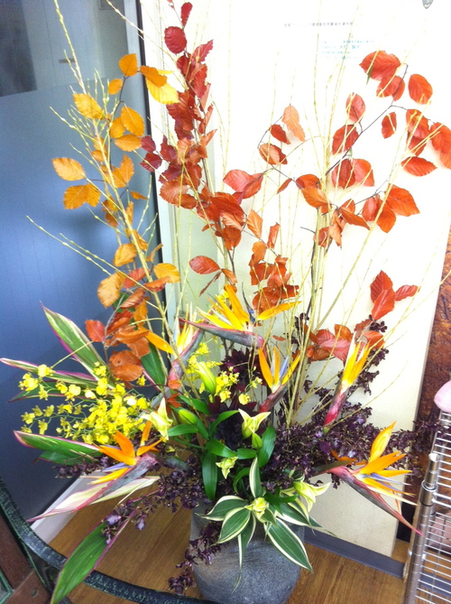 今週のお花とセール情報_a0200423_20362821.jpg