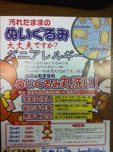 今週のお花とセール情報_a0200423_20375073.jpg