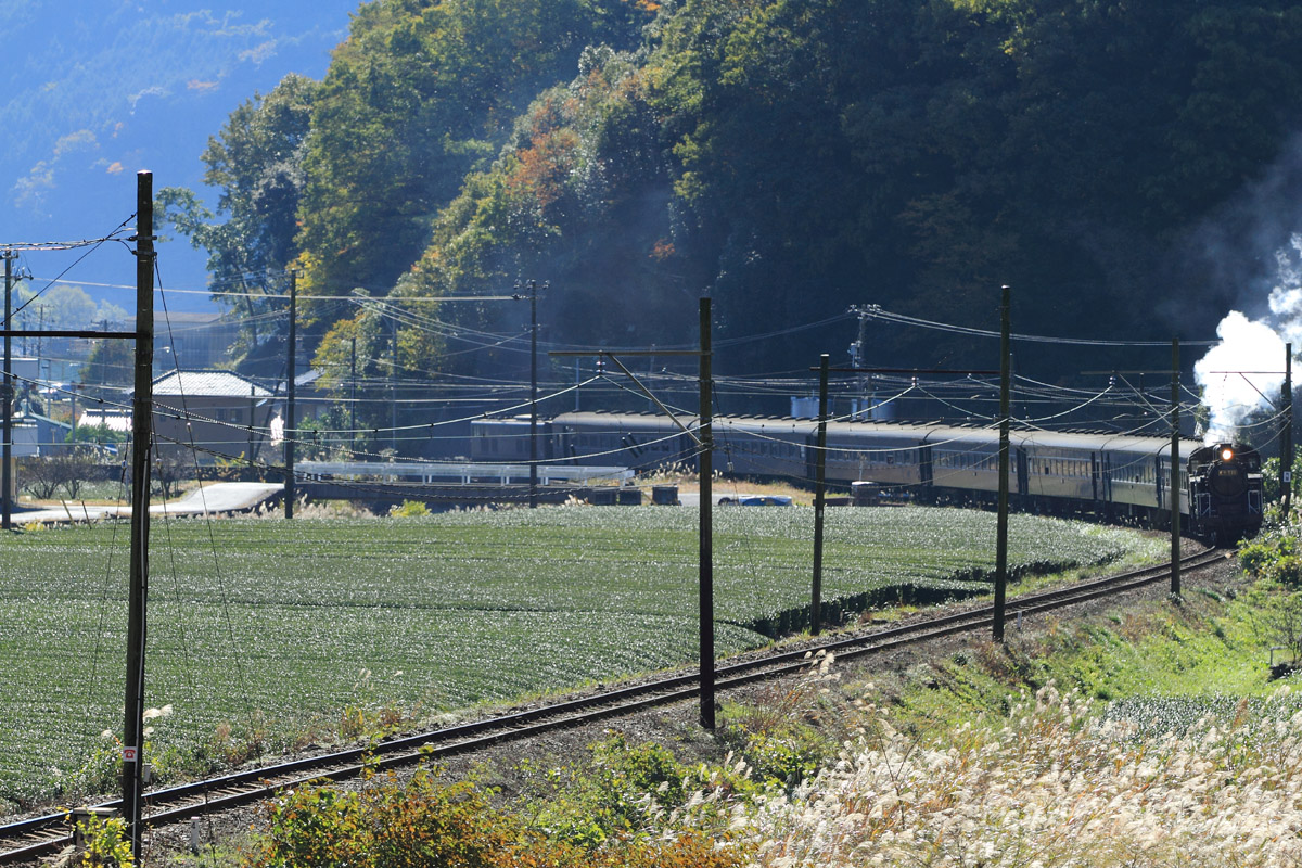 b0222029_21482447.jpg